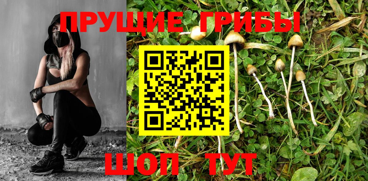 Костомукша  наркошоп  Вход с VPN  Галлюциногенные грибы ЛСД 