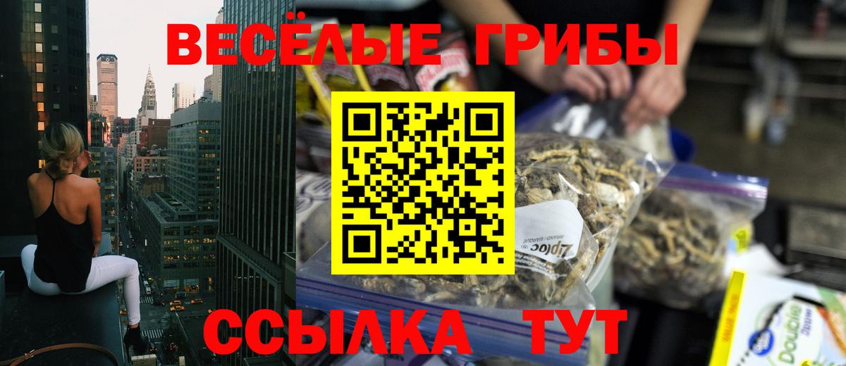 Галлюциногенные грибы Cubensis Костомукша